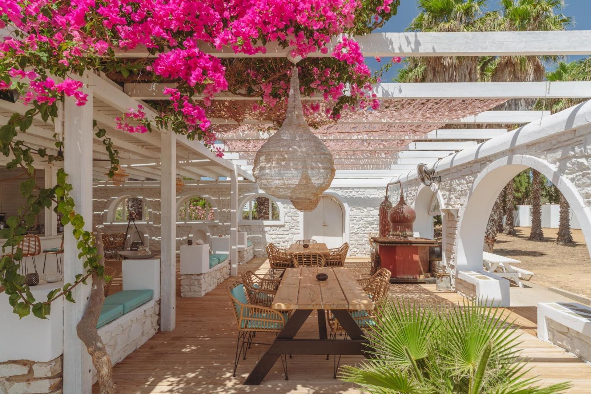 Palm Heaven Boutique Apartments 安迪帕罗斯岛 外观 照片